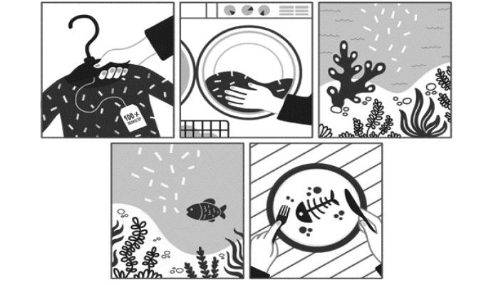 Иллюстрация к книге — Гардероб наизнанку. Как индустрия моды уничтожает планету и для чего нужно вывернуть свой шкаф [img_2.jpg]