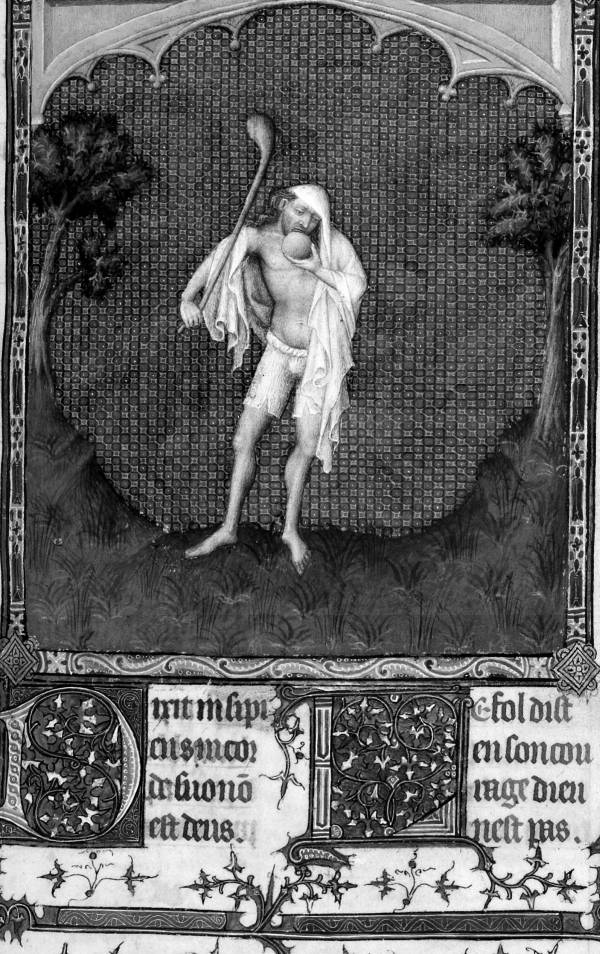 Иллюстрация к книге — Цивилизация [i_008.jpg]