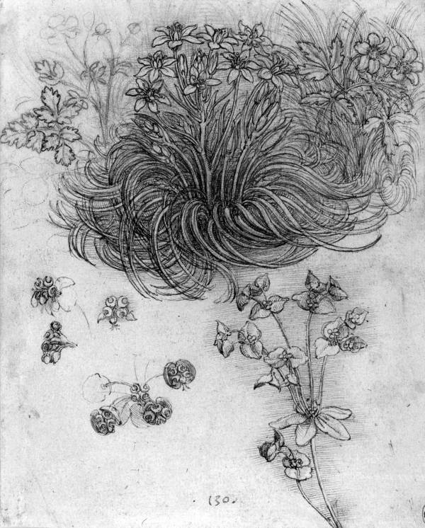 Иллюстрация к книге — Цивилизация [i_023.jpg]