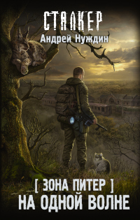 Книга Зона Питер. На одной волне