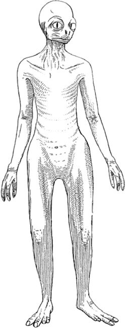 Иллюстрация к книге — Удивительная эволюция. Биологическая история Земли в невероятных превращениях и мутациях организмов [i_001.jpg]