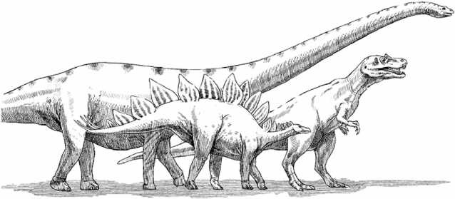 Иллюстрация к книге — Удивительная эволюция. Биологическая история Земли в невероятных превращениях и мутациях организмов [i_042.jpg]