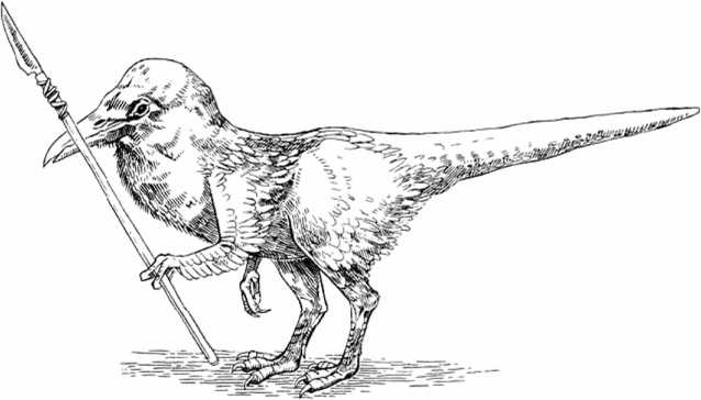 Иллюстрация к книге — Удивительная эволюция. Биологическая история Земли в невероятных превращениях и мутациях организмов [i_043.jpg]