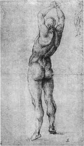 Иллюстрация к книге — Нагота в искусстве: Исследование идеальной формы [i_146.jpg]