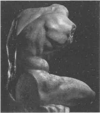 Иллюстрация к книге — Нагота в искусстве: Исследование идеальной формы [i_192.jpg]