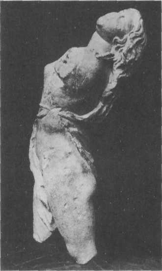 Иллюстрация к книге — Нагота в искусстве: Исследование идеальной формы [i_215.jpg]