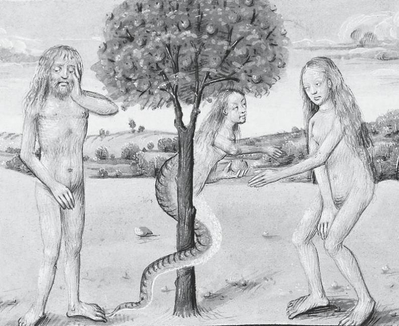 Иллюстрация к книге — Средневековье в юбке [i_016.jpg]