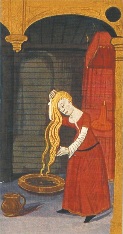 Иллюстрация к книге — Средневековье в юбке [i_148.jpg]