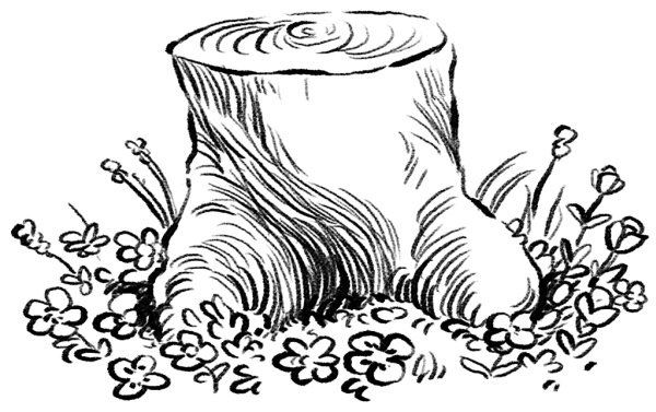 Иллюстрация к книге — Принцы-воины [i_011.jpg]