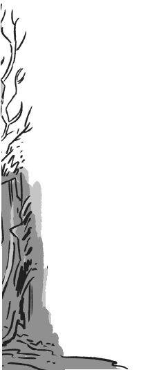 Иллюстрация к книге — Последние подростки на Земле. Безумное приключение Джун [i_106.jpg]