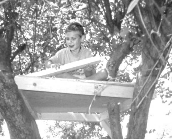 Иллюстрация к книге — Последние подростки на Земле. Безумное приключение Джун [i_170.jpg]