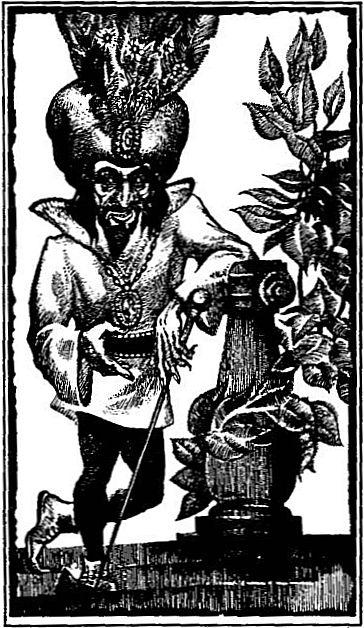 Иллюстрация к книге — Радамехский карлик [i_001.jpg]