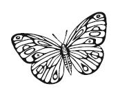 Иллюстрация к книге — Гоблин. Останься со мной [i_002.jpg]