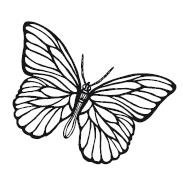 Иллюстрация к книге — Гоблин. Останься со мной [i_003.jpg]