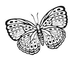 Иллюстрация к книге — Гоблин. Останься со мной [i_006.jpg]