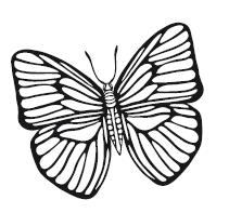 Иллюстрация к книге — Гоблин. Останься со мной [i_011.jpg]