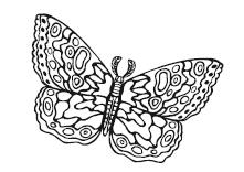 Иллюстрация к книге — Гоблин. Останься со мной [i_015.jpg]