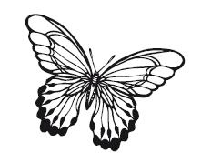 Иллюстрация к книге — Гоблин. Останься со мной [i_022.jpg]