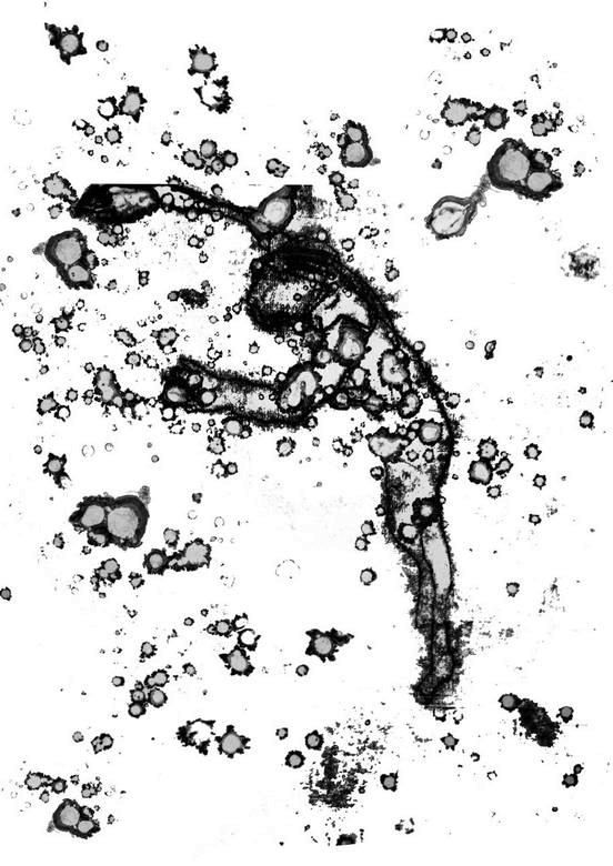 Иллюстрация к книге — Милосердные [i_001.jpg]