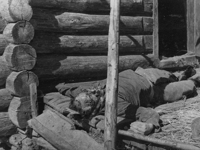 Иллюстрация к книге — Фронт за линией фронта. Партизанская война 1939–1945 гг. [i_017.jpg]