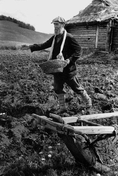 Иллюстрация к книге — Фронт за линией фронта. Партизанская война 1939–1945 гг. [i_022.jpg]