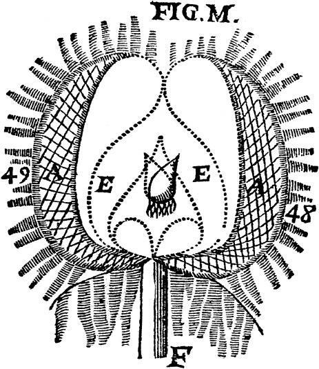 Иллюстрация к книге — Наука о сне. Кто познает тайну сна – познает тайну мозга! [i_010.jpg]