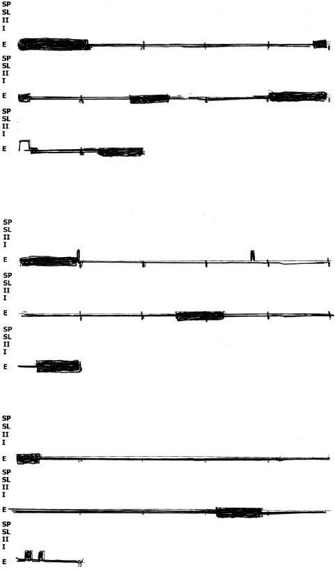 Иллюстрация к книге — Наука о сне. Кто познает тайну сна – познает тайну мозга! [i_019.jpg]
