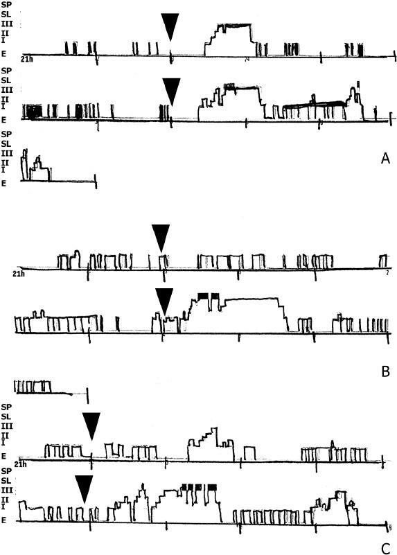 Иллюстрация к книге — Наука о сне. Кто познает тайну сна – познает тайну мозга! [i_021.jpg]