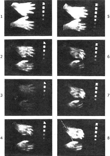 Иллюстрация к книге — Наука о сне. Кто познает тайну сна – познает тайну мозга! [i_023.jpg]