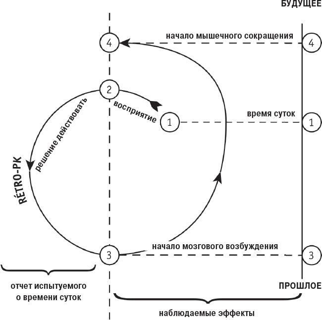 Иллюстрация к книге — Наука о сне. Кто познает тайну сна – познает тайну мозга! [i_038.jpg]