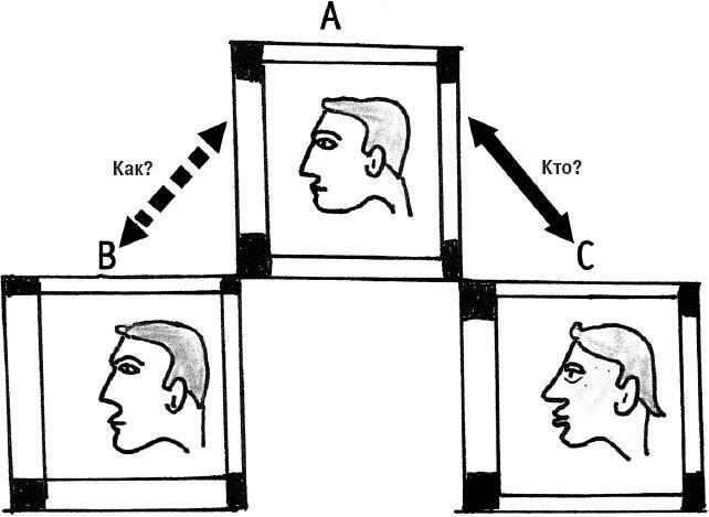 Иллюстрация к книге — Наука о сне. Кто познает тайну сна – познает тайну мозга! [i_039.jpg]