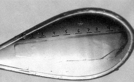 Иллюстрация к книге — Генетический детектив. От исследования рибосомы к Нобелевской премии [i_018.jpg]