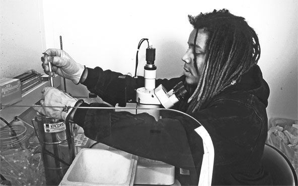 Иллюстрация к книге — Генетический детектив. От исследования рибосомы к Нобелевской премии [i_030.jpg]