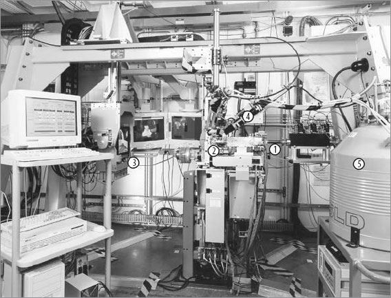 Иллюстрация к книге — Генетический детектив. От исследования рибосомы к Нобелевской премии [i_032.jpg]