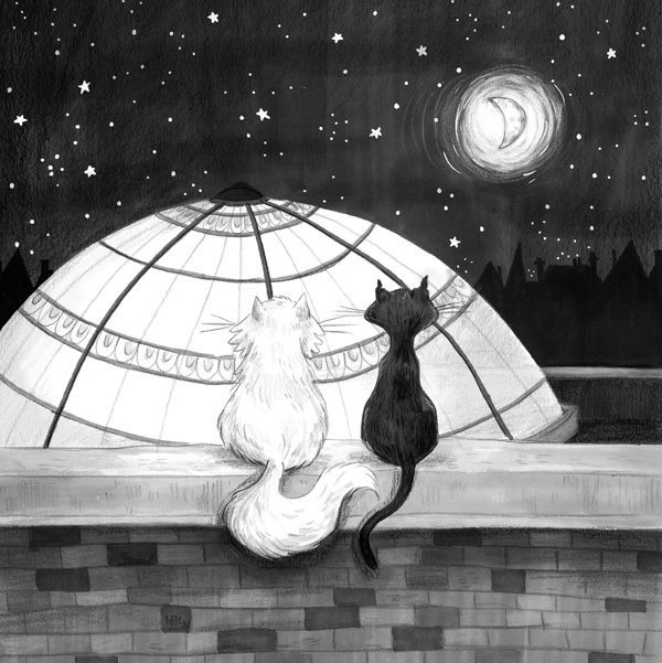 Иллюстрация к книге — Фальшивая певица [i_037.jpg]