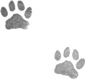 Иллюстрация к книге — Портрет призрака [i_004.jpg]