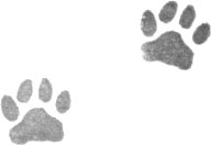 Иллюстрация к книге — Портрет призрака [i_008.jpg]