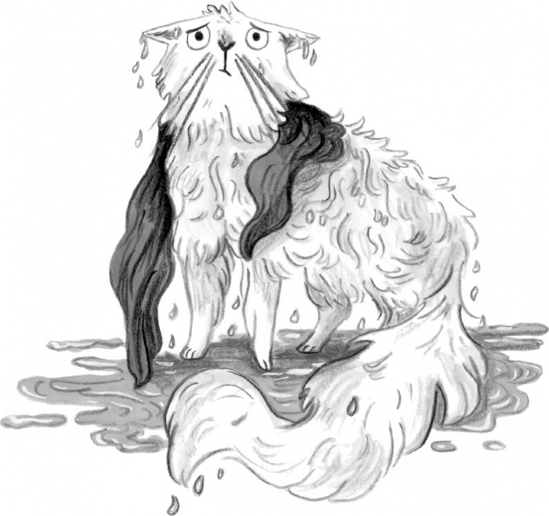 Иллюстрация к книге — Портрет призрака [i_035.jpg]