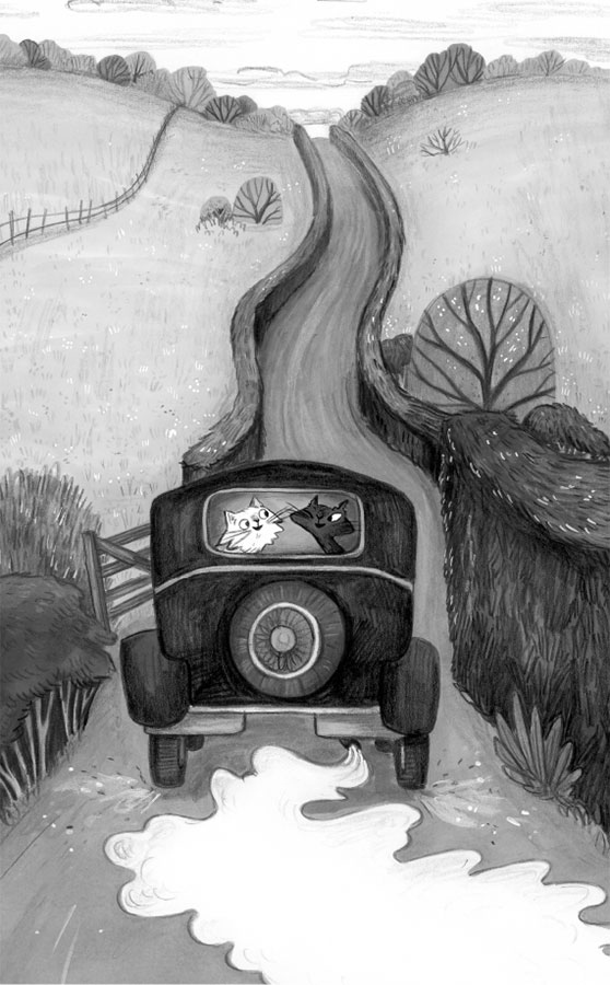 Иллюстрация к книге — Портрет призрака [i_040.jpg]