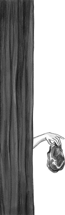 Иллюстрация к книге — Таинственная фотография [i_017.jpg]