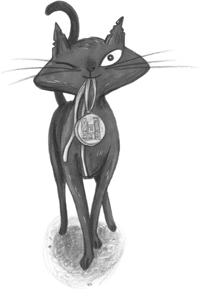 Иллюстрация к книге — Таинственная фотография [i_028.jpg]