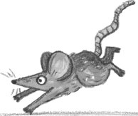 Иллюстрация к книге — Таинственная фотография [i_034.jpg]