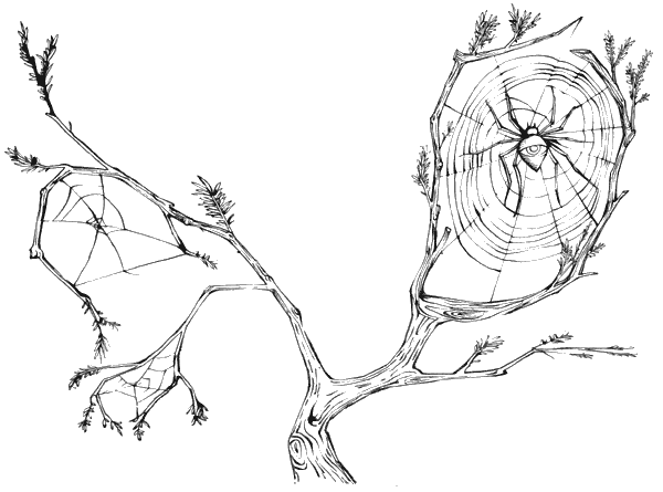Иллюстрация к книге — Элиза в сердце лабиринта [i_007.jpg]