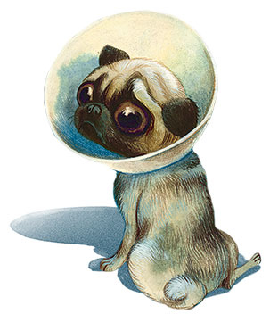 Иллюстрация к книге — Шерлок Кот. Усатые контрабандисты [i_001.jpg]