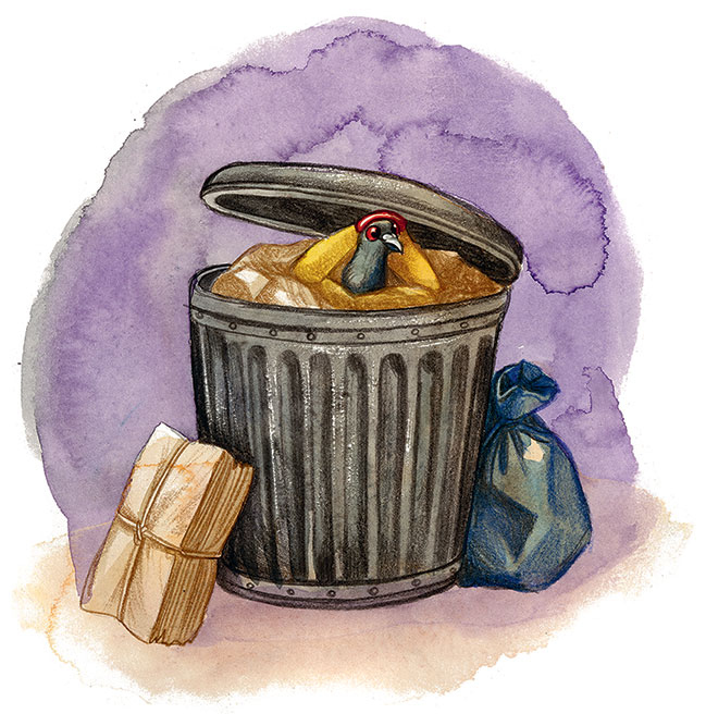 Иллюстрация к книге — Шерлок Кот. Усатые контрабандисты [i_015.jpg]