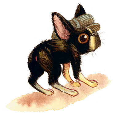 Иллюстрация к книге — Шерлок Кот. Усатые контрабандисты [i_020.jpg]