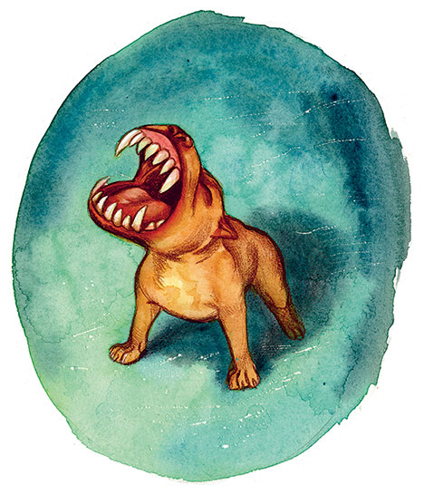 Иллюстрация к книге — Шерлок Кот. Усатые контрабандисты [i_028.jpg]