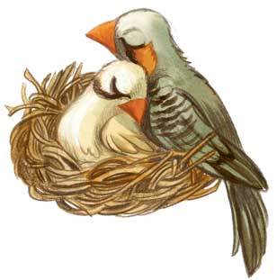 Иллюстрация к книге — Шерлок Кот. Похищенное колье [i_005.jpg]