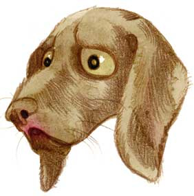 Иллюстрация к книге — Шерлок Кот. Похищенное колье [i_012.jpg]