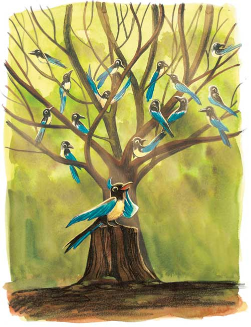 Иллюстрация к книге — Шерлок Кот. Похищенное колье [i_016.jpg]